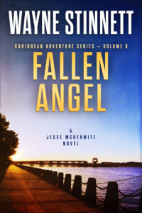 The book cover of Wayne Stinnet's novel, Fallen Angel