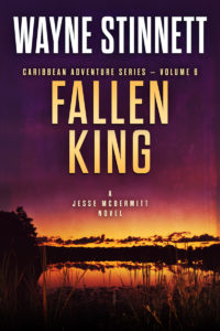The book cover of Wayne Stinnet's novel, Fallen King
