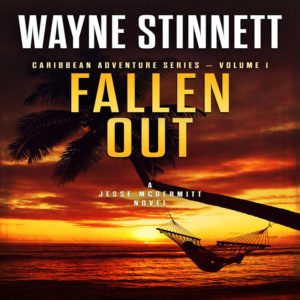 Book Cover of Fallen Out by Wayne Stinnet