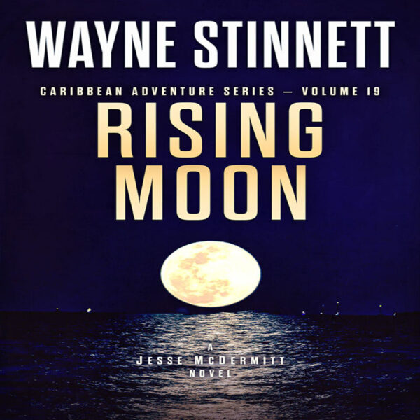 Book cover of Rising Moon by Wayne Stinnett
