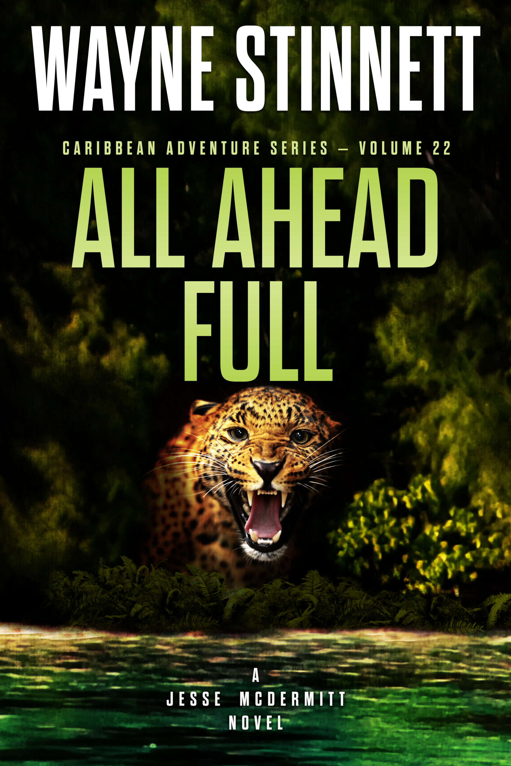 Book Cover of All Ahead Full by Wayne Stinnett